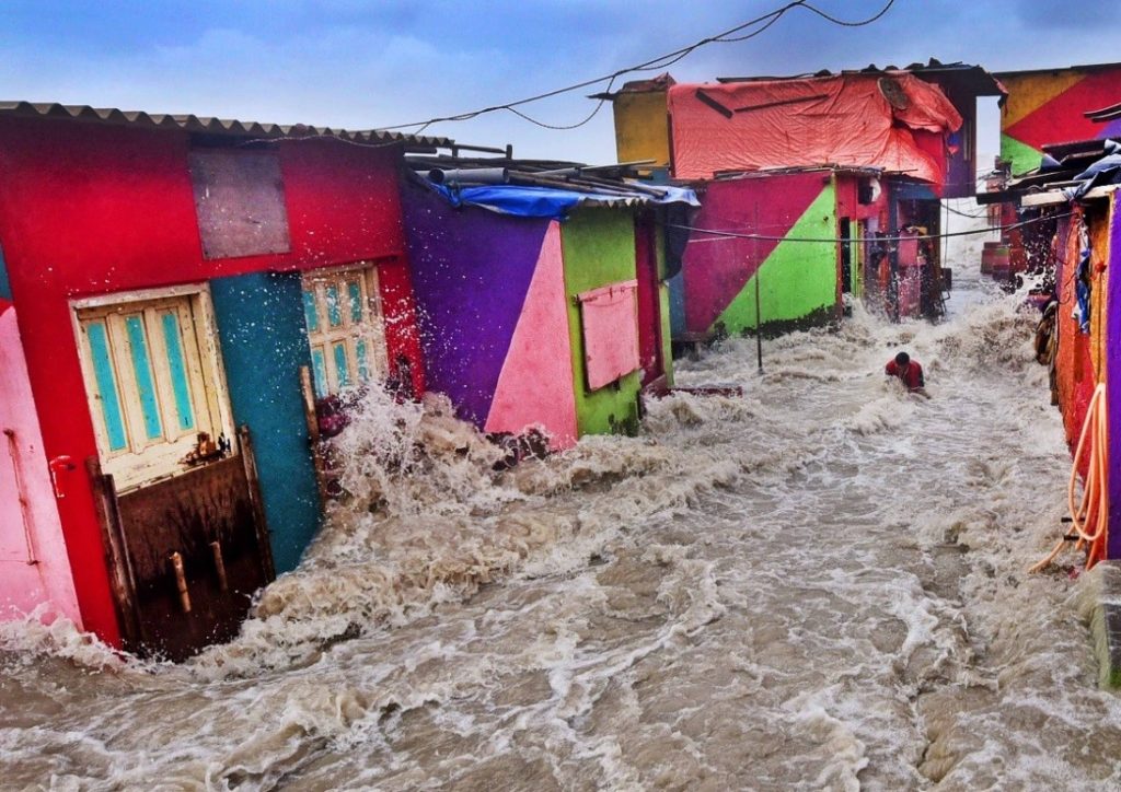 El fotógrafo ambiental del año