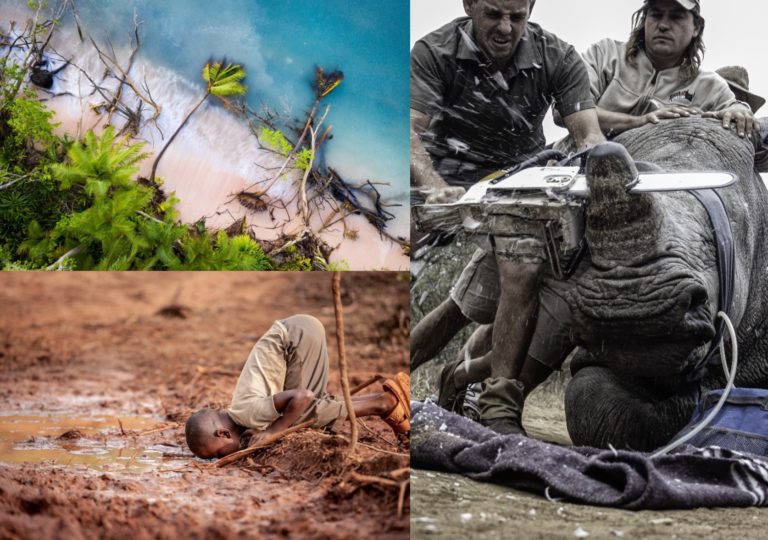 Ganadores Fotógrafo ambiental del año 2019